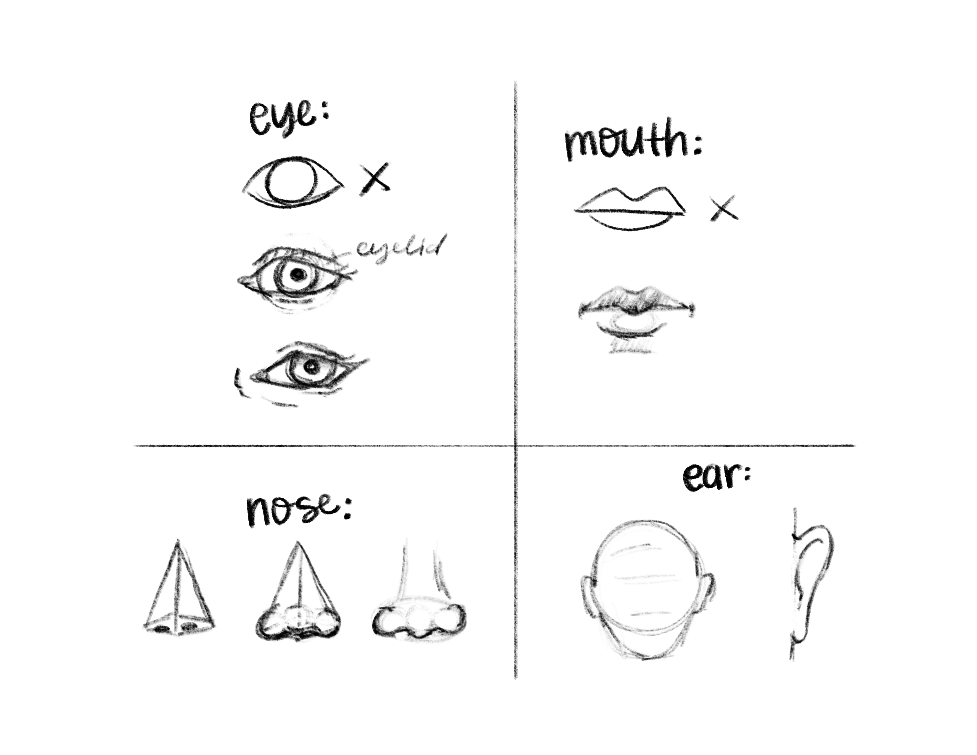 FacialFeatures.PNG
